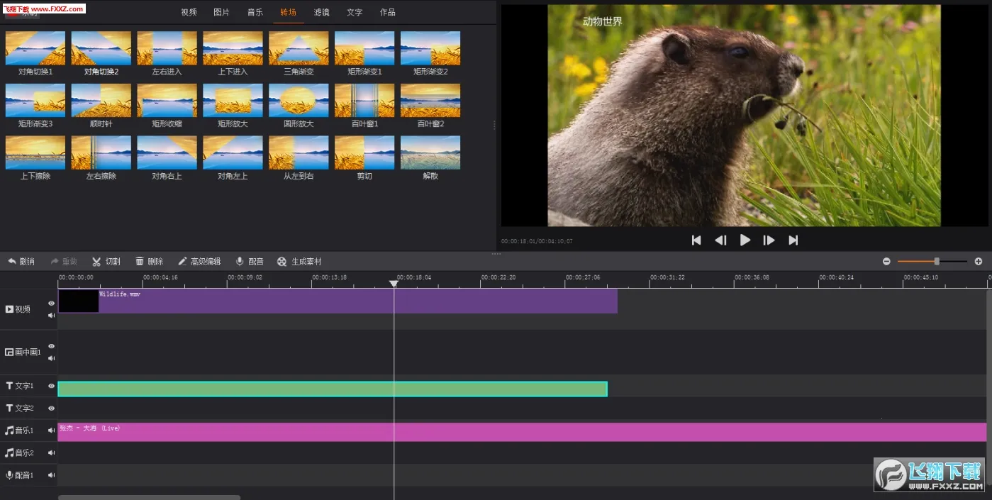 �Ĵ�ʦ2026���°汾v5.8.2 �ֻ���