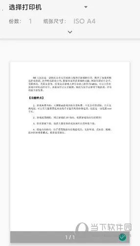 ��������ӡ��