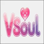vsoulai2026���ذ�װv4.0.4 ��׿��