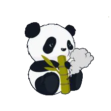 ����Ȼ�ж�С��èv1 �ֻ���