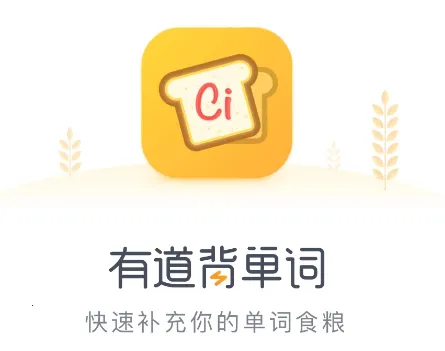 �е�������