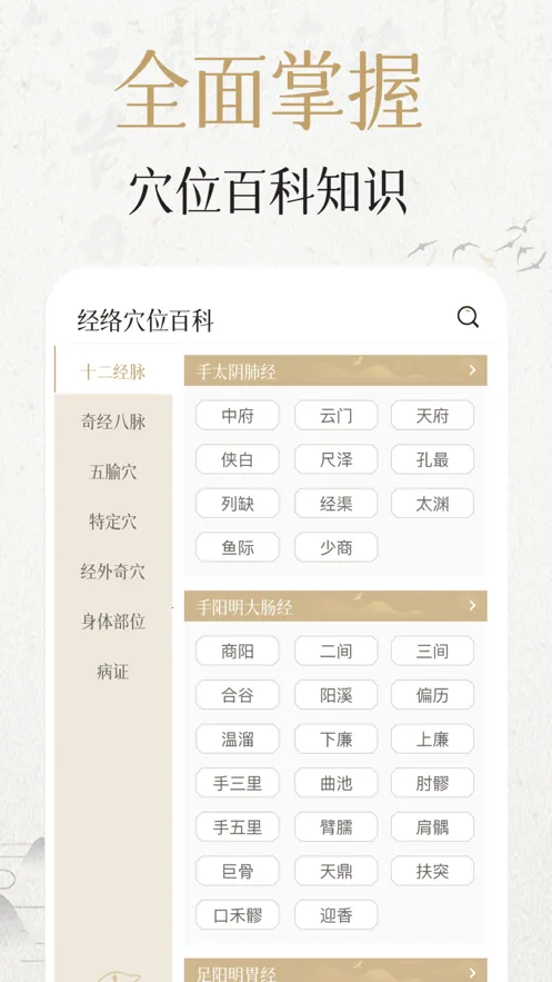 �мþ���Ѩλ