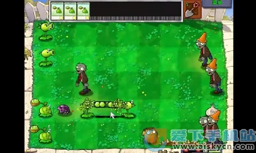 ֲ���ս��ʬ��С��֮��2026���°汾v1.01 ��Ѱ�