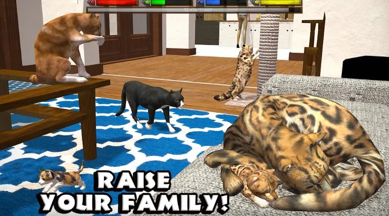 �ռ�èģ����2026�ٷ����°汾v1.1 �ֻ���