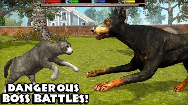 �ռ�èģ����2026�ٷ����°汾v1.1 �ֻ���