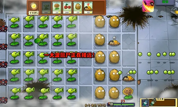 ֲ���ս��ʬ��ս��