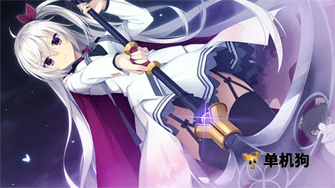 �ǹ⿧�ȹ�������֮��ֱװv68 �ֻ���