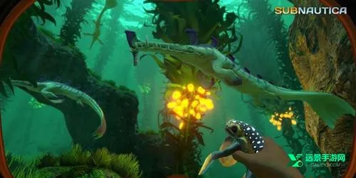 ��Ժ�3:����֮��