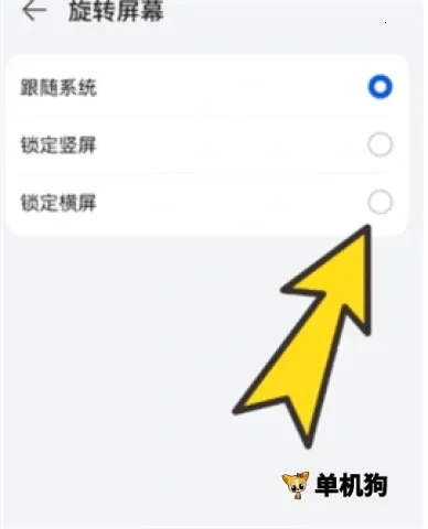 bobo������޹���ȫ��ͨ