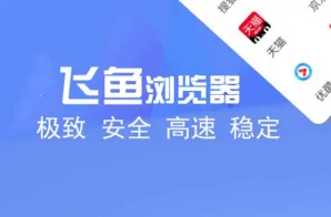 飞鱼浏览器下载 飞鱼浏览器下载