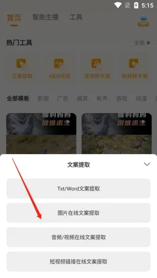 ����ѼVIP������