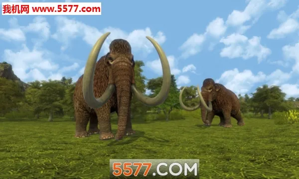 ��������2026�ٷ����°汾v1.3.3 ��׿��