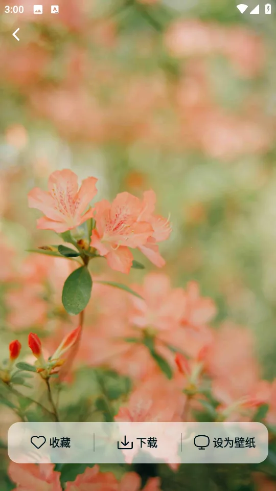 Ծ����ֽ2026���°汾v1.6.0 �ֻ���