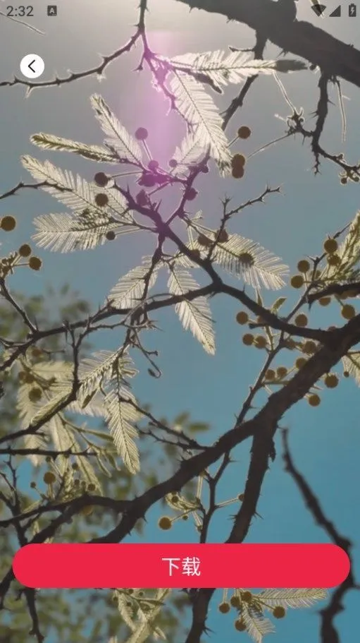 tibni�������v1.0.0 ��Ѱ�