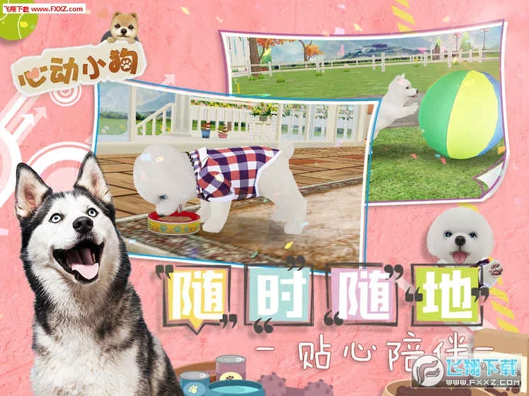 �Ķ�С��2026�ٷ����°汾v1.1.0 ��Ѱ�