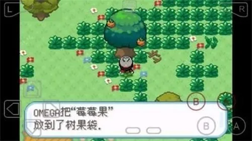 �ڴ����ֽ��ܺ�����2026���ذ�װv1.0 �ٷ�����