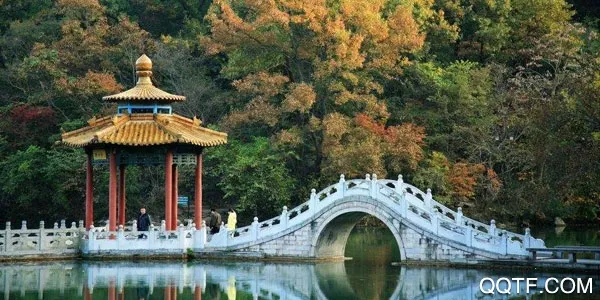 E����(���������������)