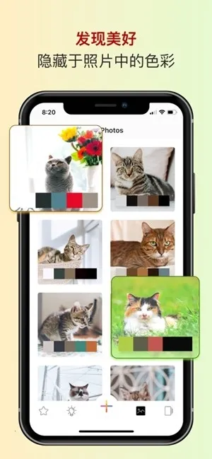 ɫ��ɫ������2026���ذ�װv2.5.38 �ֻ���