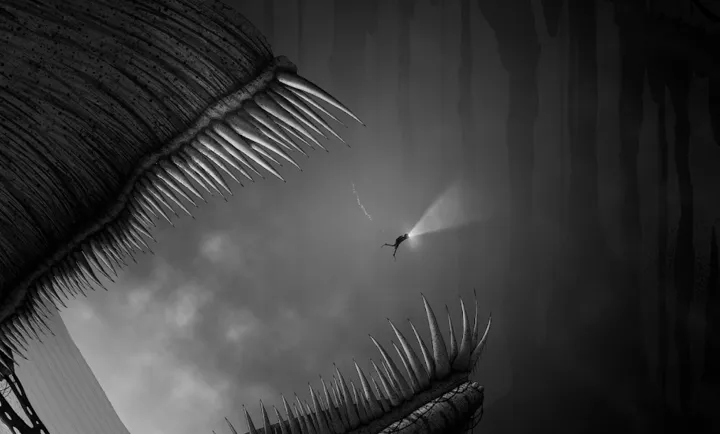 �����ٷ�����v1.0.10 ��׿��