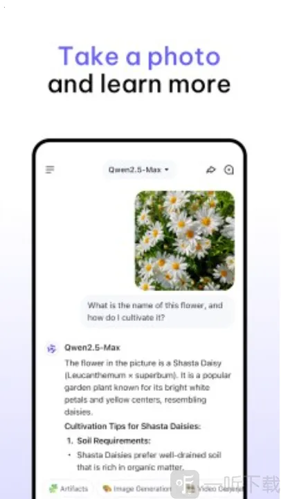 Qwen Chat(����ѧϰ�ʴ�����)