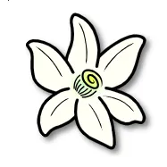 �Ȼ�ģ����2026���°汾v2123.3 �ֻ���