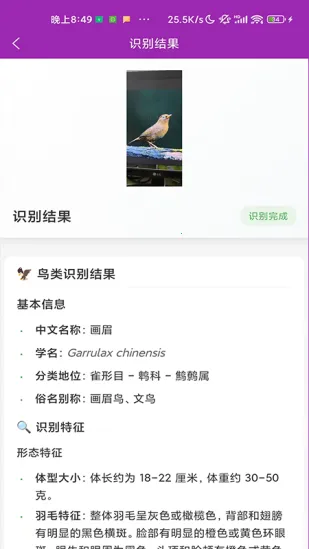 ʶ��(����ʶ�𹤾�)v1.1.0 ��Ѱ�