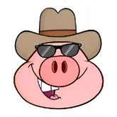 �˽�������(��Ϸ��Դ����)v1.0.0 �ֻ���