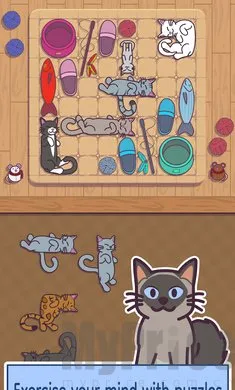 ���׶�2026�ٷ����°汾