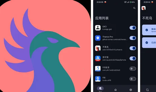 ������ģ��(Ӧ�ñ����)