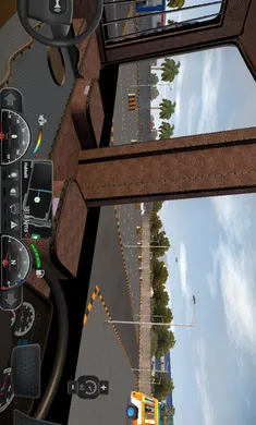 卡车大师：印度免谷歌版安卓版手机版截图2