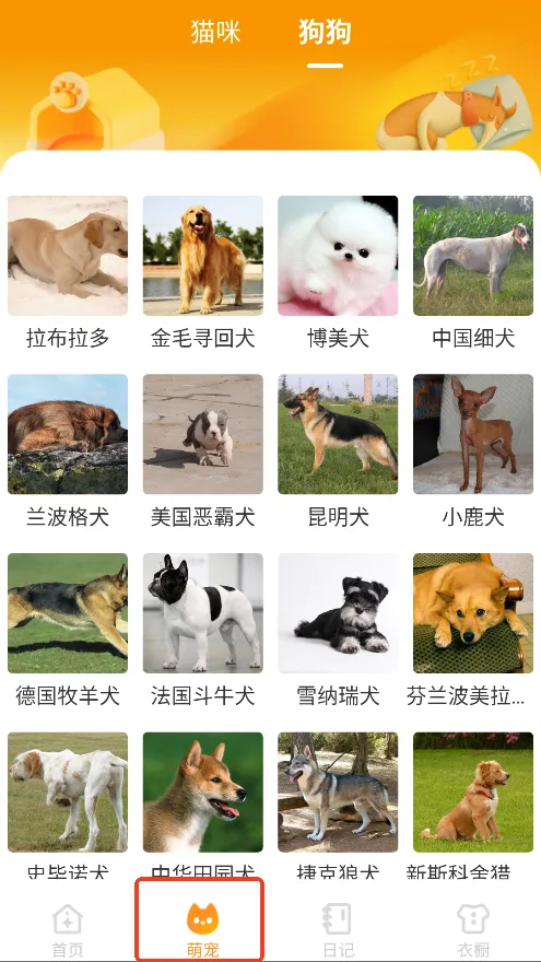 Ԫ����ֽƽ�������v2.0.5 �ֻ���