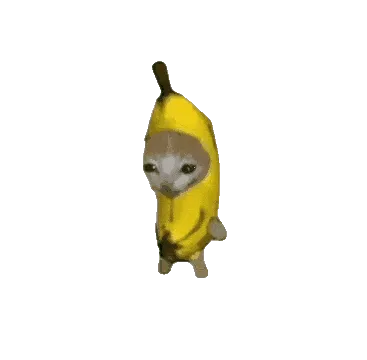 �ȱ����������ֻ���v1.0 ��Ѱ�