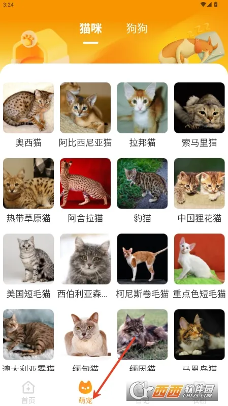 Ԫ����ֽ�ƽ��v2.0.5 �ٷ�����