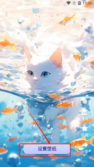 桌面猫2026官方最新版本 桌面猫2026官方最新版本