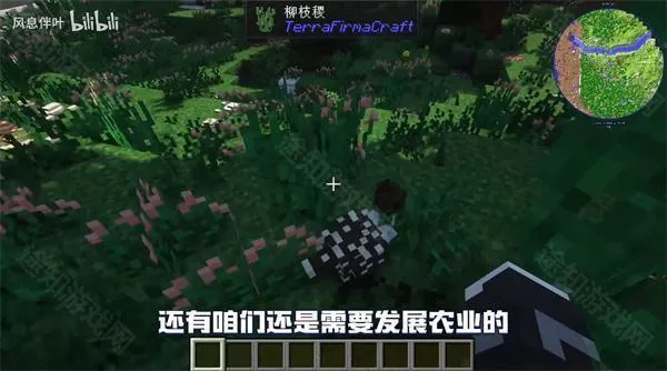 �ҵ�����Ⱥ�ʹ�˵���ϰ������ֻ���