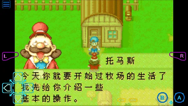 ���������ʯ��Ļ����2013������2026���°汾v2.0.0 ��Ѱ�