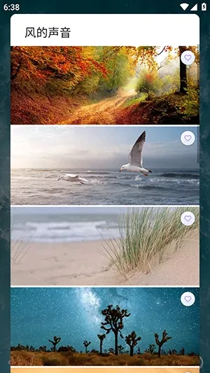 �������(����������Ӧ��)