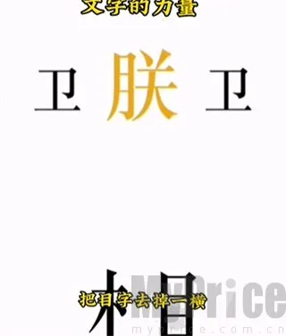 文字的力量2026最新版本 文字的力量2026最新版本