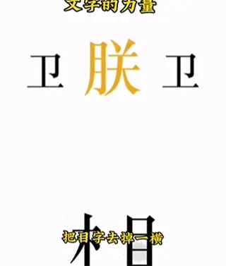 文字的力量2026最新版本 文字的力量2026最新版本