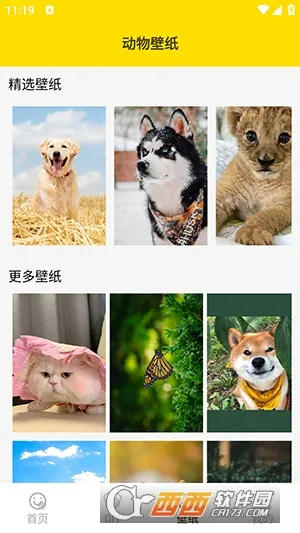 ���ӱ����(�������������)v1.5 ��׿��