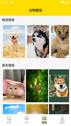 ���ӱ����(�������������)v1.5 ��׿��