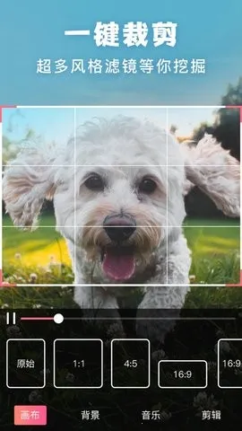 ����picsart��Ƭ�༭2026�ٷ�����v19.8.63 �ֻ���