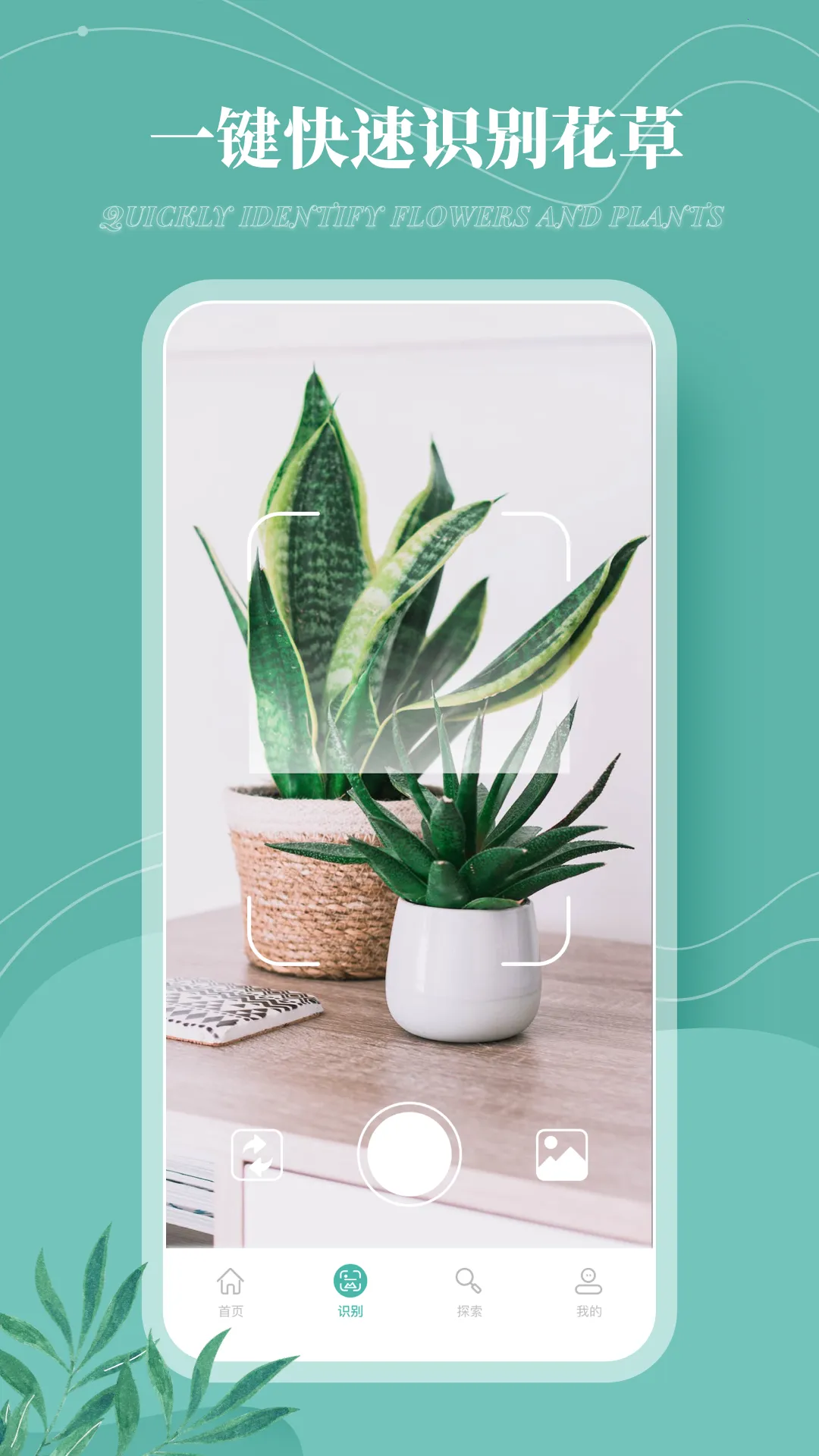 ����¼(ֲ��ʶ����������)v1.0.0 �ֻ���