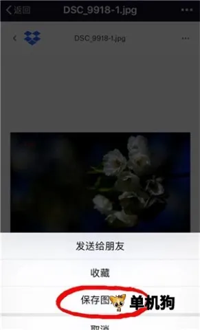 dropbox2026���°汾