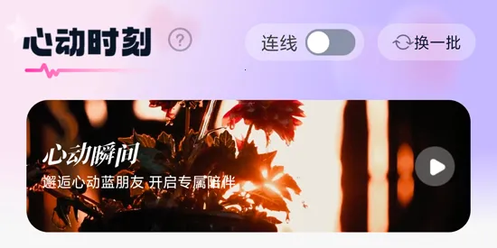 ��������(��������ƽ̨)