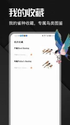 �˷���ȸ2026���°汾v1.1 �ֻ���