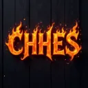 CHHES(רҵ���ֵ�)v2.41 �ֻ���