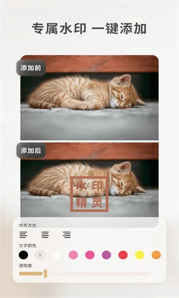 ���䰮ˮӡ����2026�ٷ����°汾v1.1.5 �ٷ�����