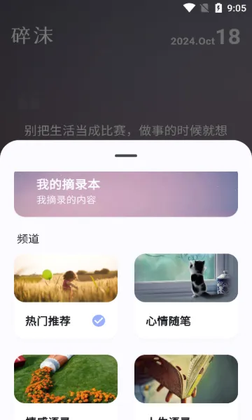 ��ĭ2026�ٷ����°汾v2.0.2 �ֻ���