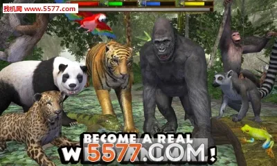 ���ֶ���ģ����2026���°汾v1.2 �ֻ���
